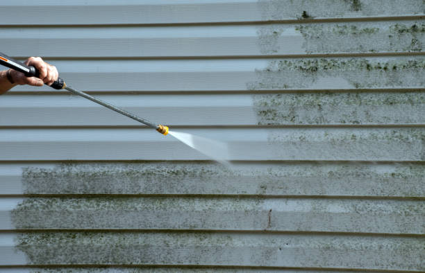 Best Residential Pressure Washing in USA